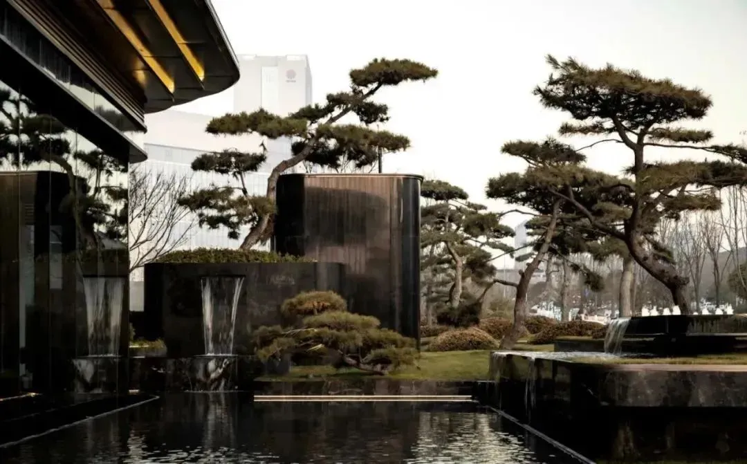 1737337214544125.jpg 1737337204344.jpg