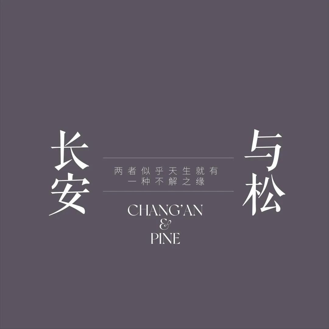 1737337227638098.jpg 1737337226683.jpg