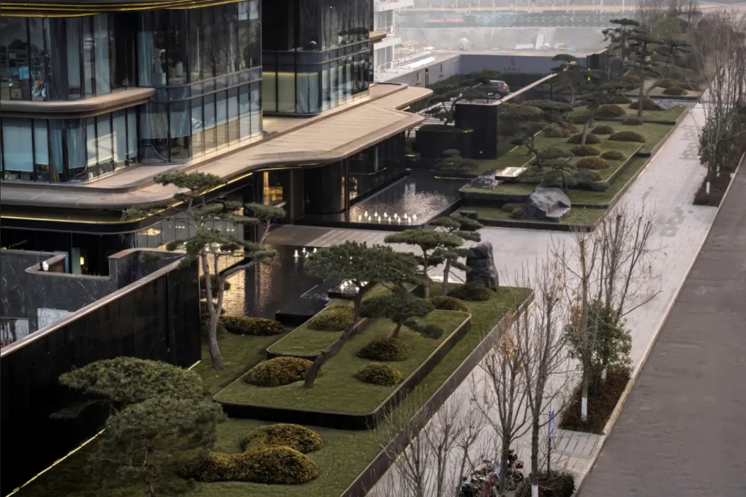 1737337266155191.jpg 1737337254761.jpg