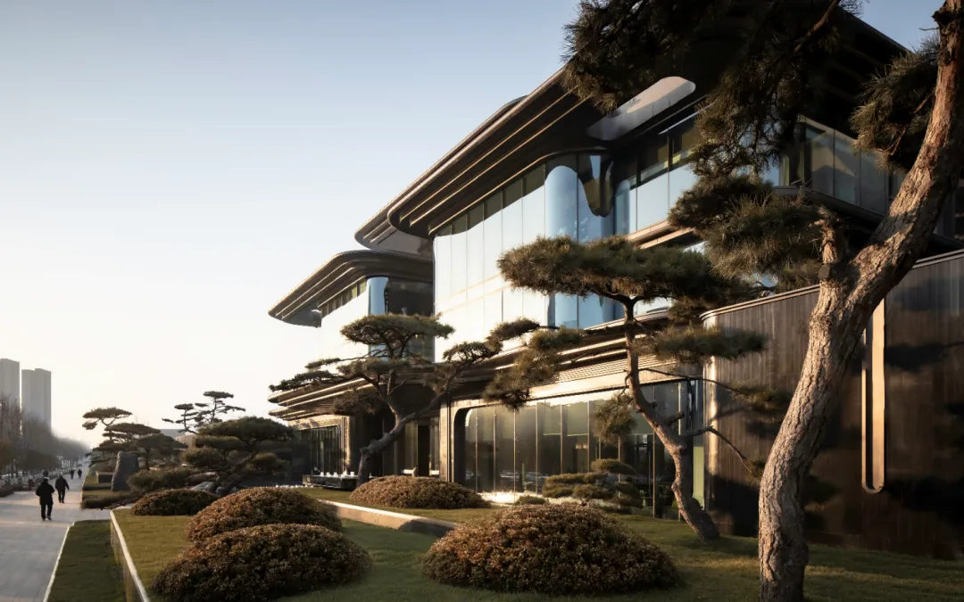 1737337316197693.jpg 1737337301086.jpg