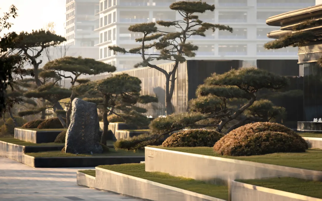 1737337429205120.jpg 1737337307308.jpg