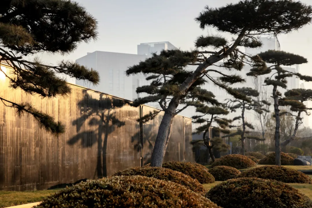 1737337511174494.jpg 1737337453891.jpg