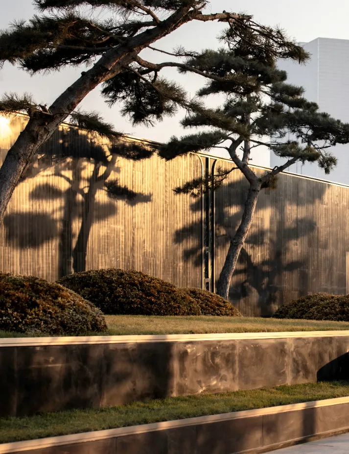 1737337515120858.jpg 1737337455874.jpg