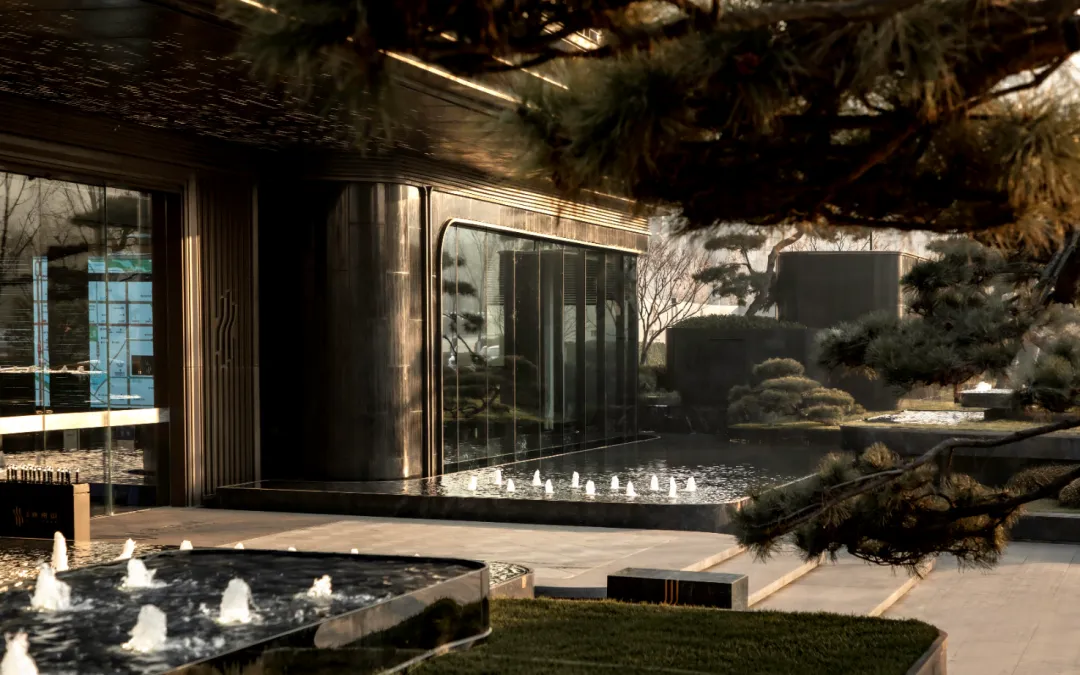 1737337547165286.jpg 1737337536501.jpg