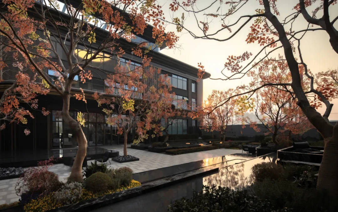 1737337571508427.jpg 1737337568624.jpg