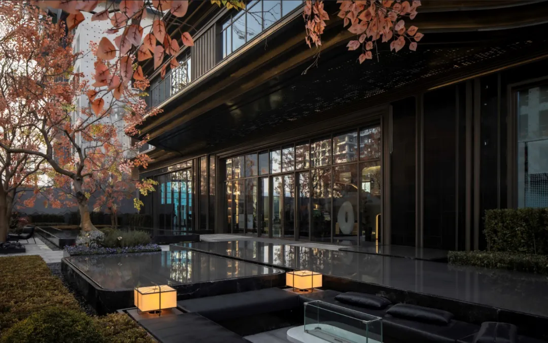 1737337575152785.jpg 1737337570956.jpg