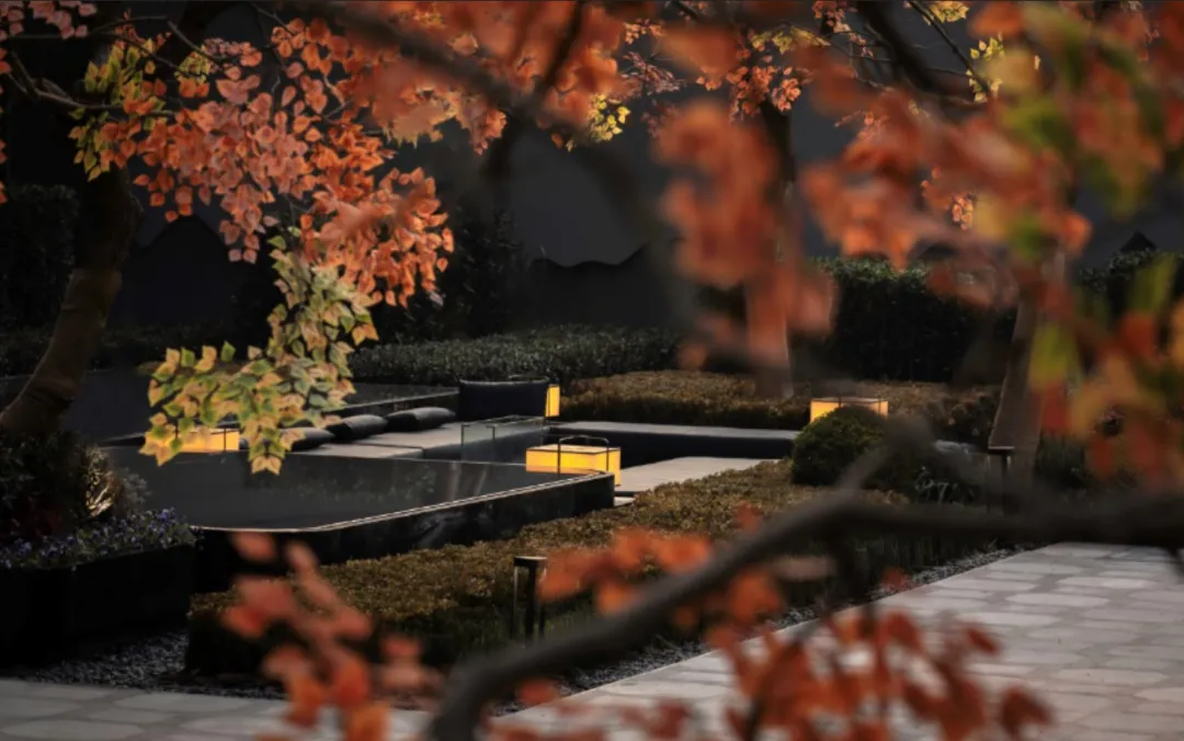 1737337613107365.jpg 1737337604170.jpg