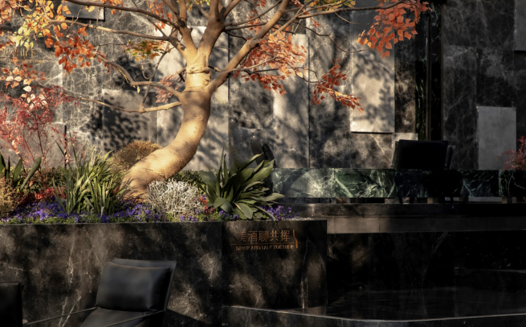 1737337688308787.jpg 1737337679139.jpg