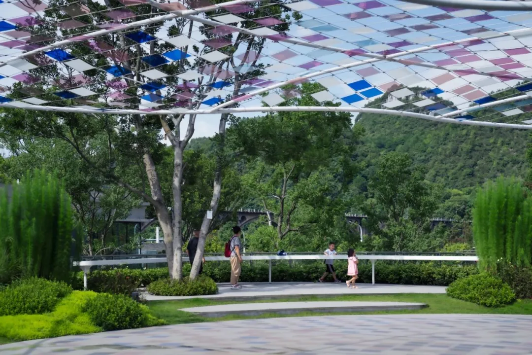 1737356437143313.jpg 1737356415475.jpg