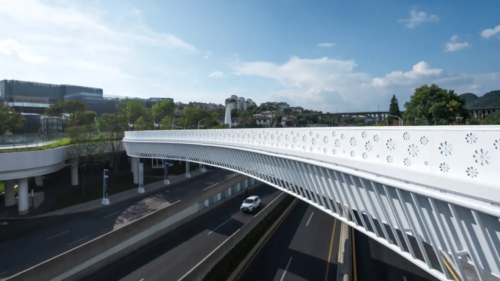 1737356461117692.jpg 1737356448082.jpg