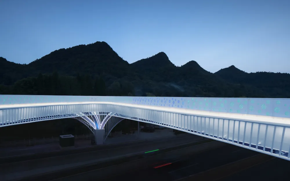 1737356501108765.jpg 1737356479670.jpg