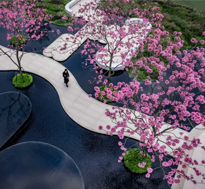 1737879466107322.jpg 1737879332564.jpg