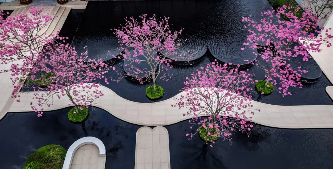 1737879471441632.jpg 1737879335416.jpg