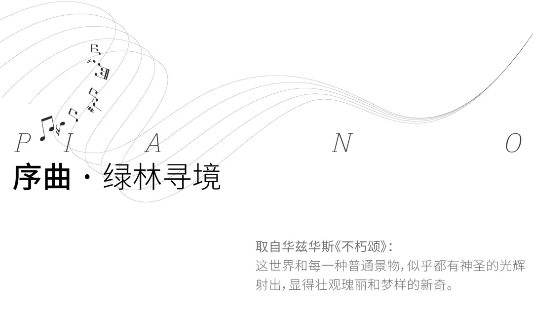 1737879518194644.jpg 1737879507241.jpg