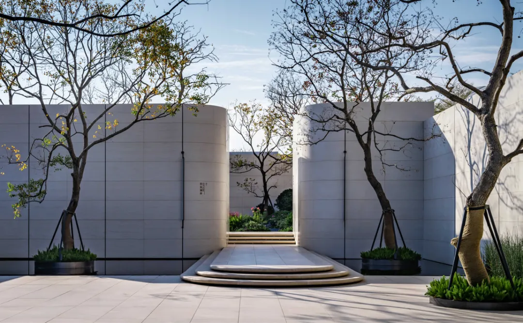 1737879565309413.jpg 1737879553205.jpg