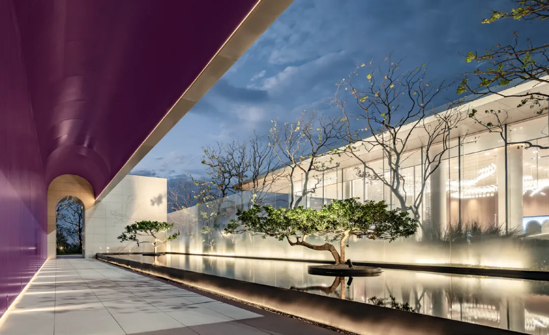 1737879911113513.jpg 1737879896485.jpg