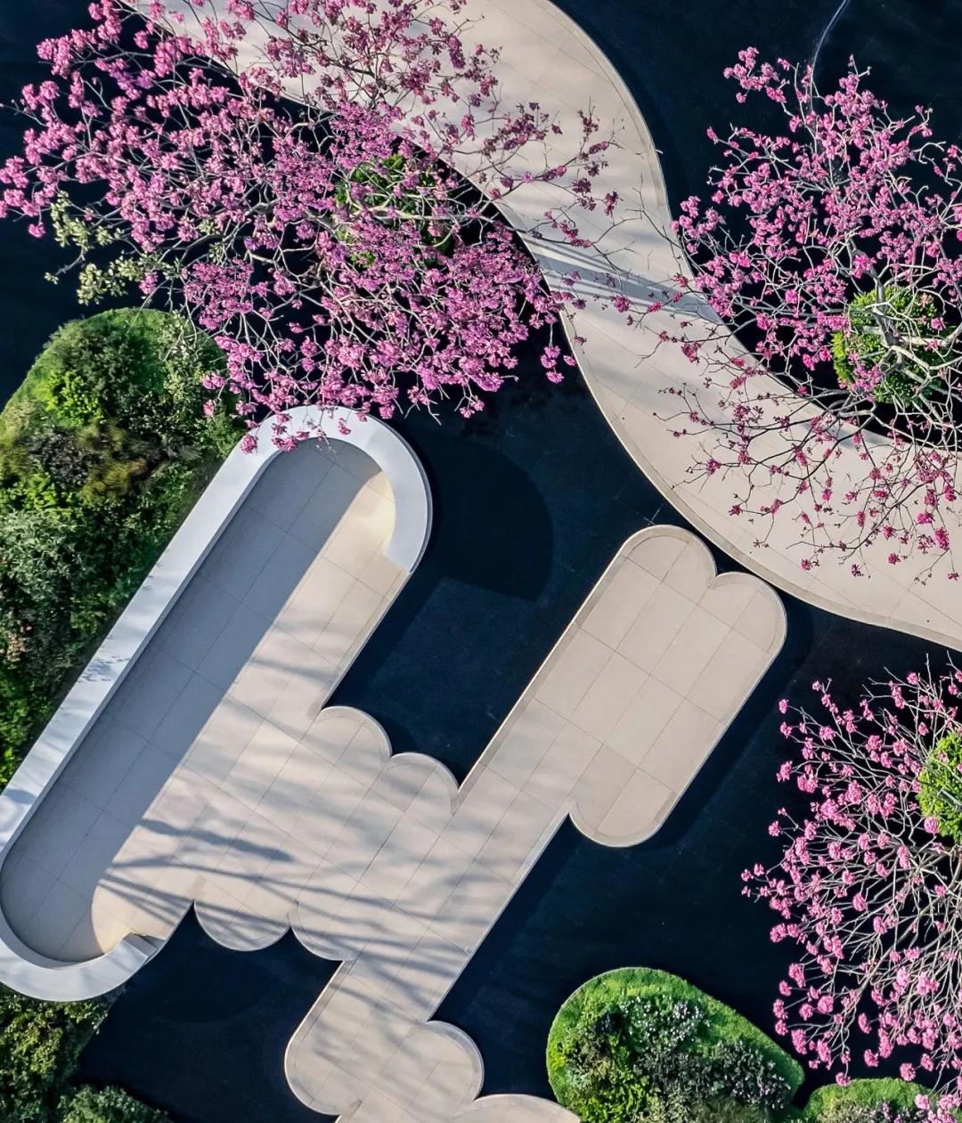 1737880052181669.jpg 1737880049150.jpg