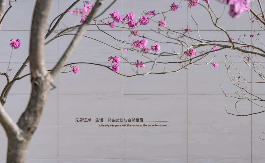 1737880117196606.jpg 1737880095608.jpg