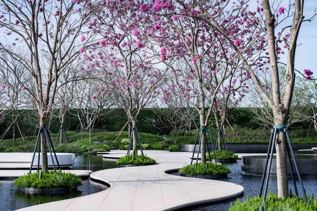 1737880121527211.jpg 1737880101263.jpg