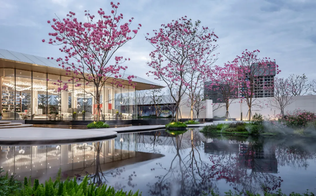 1737880126124495.jpg 1737880103309.jpg