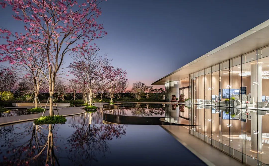 1737880152101110.jpg 1737880141391.jpg