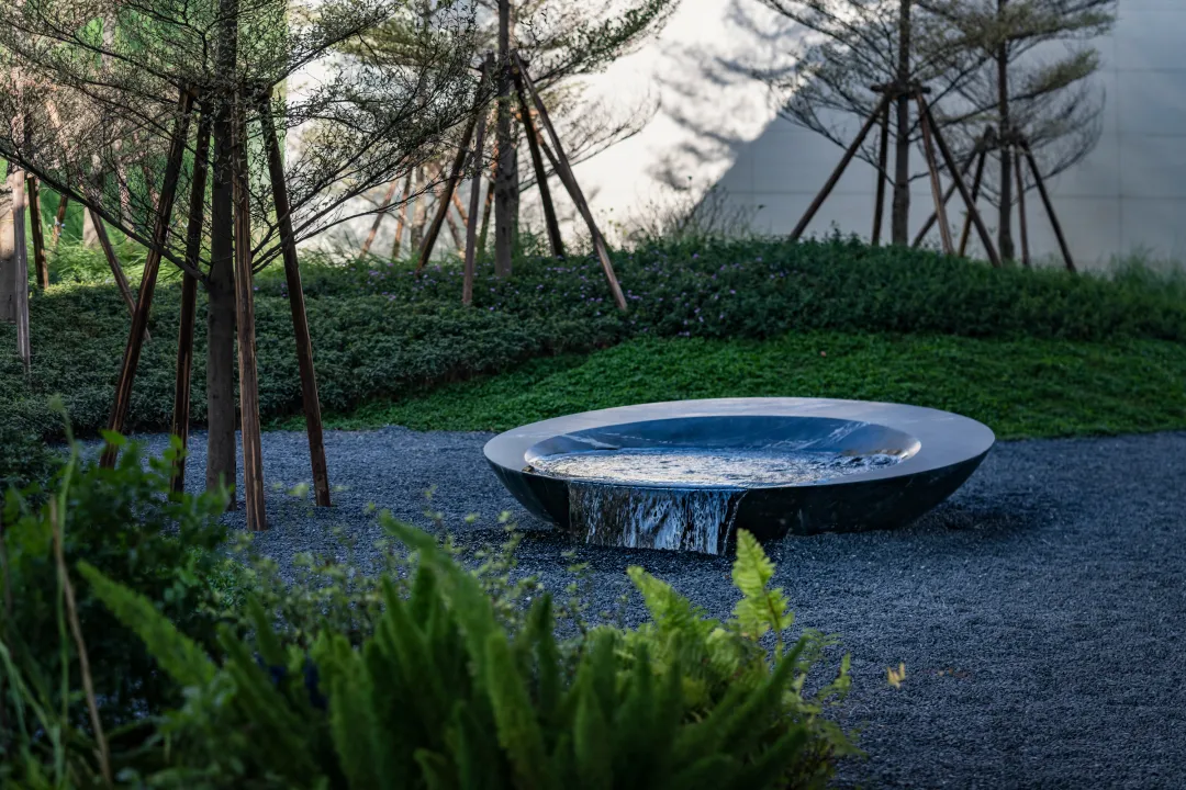 1737880209171218.jpg 1737880199072.jpg