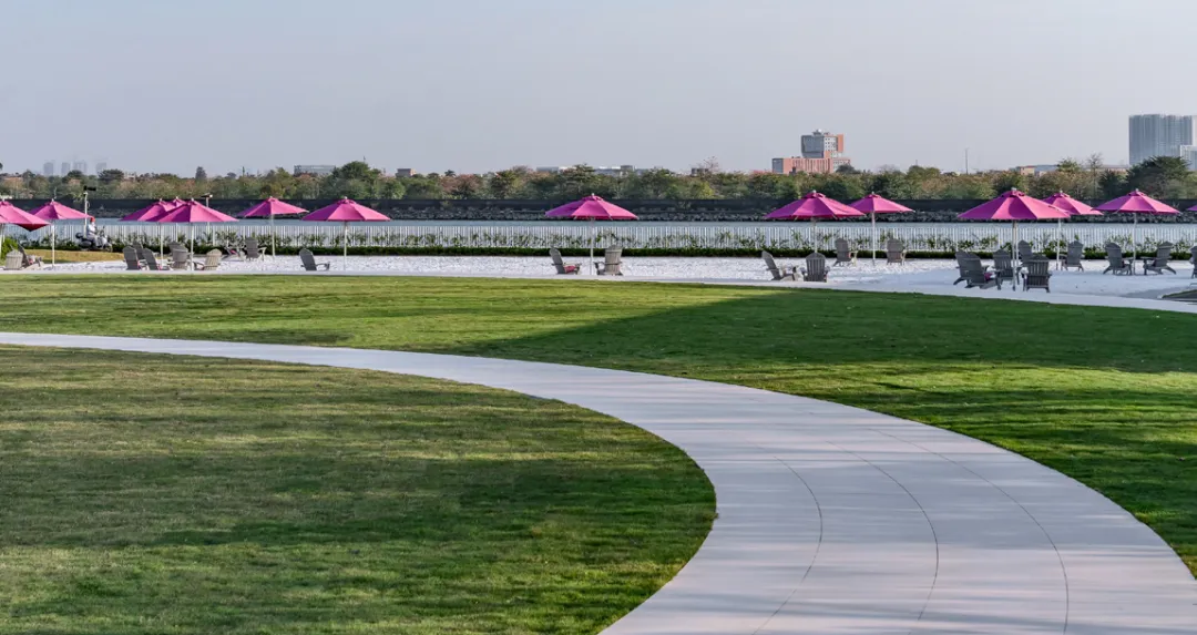 1737880241540083.jpg 1737880227314.jpg