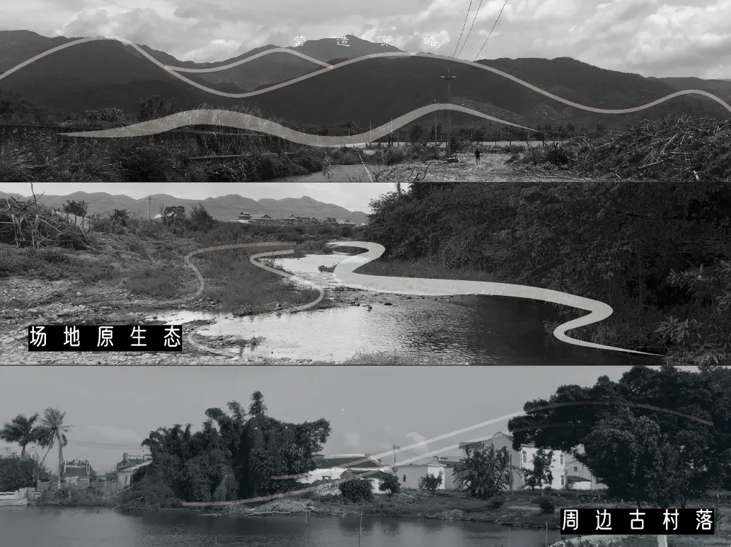 1738909287196115.jpg 1738909269491.jpg