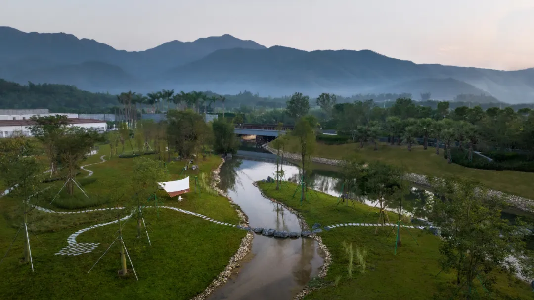 1738909424491771.jpg 1738909414375.jpg