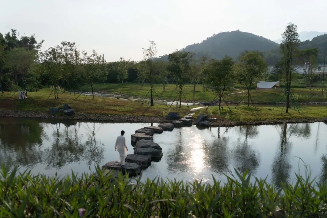 1738909442136359.jpg 1738909434907.jpg