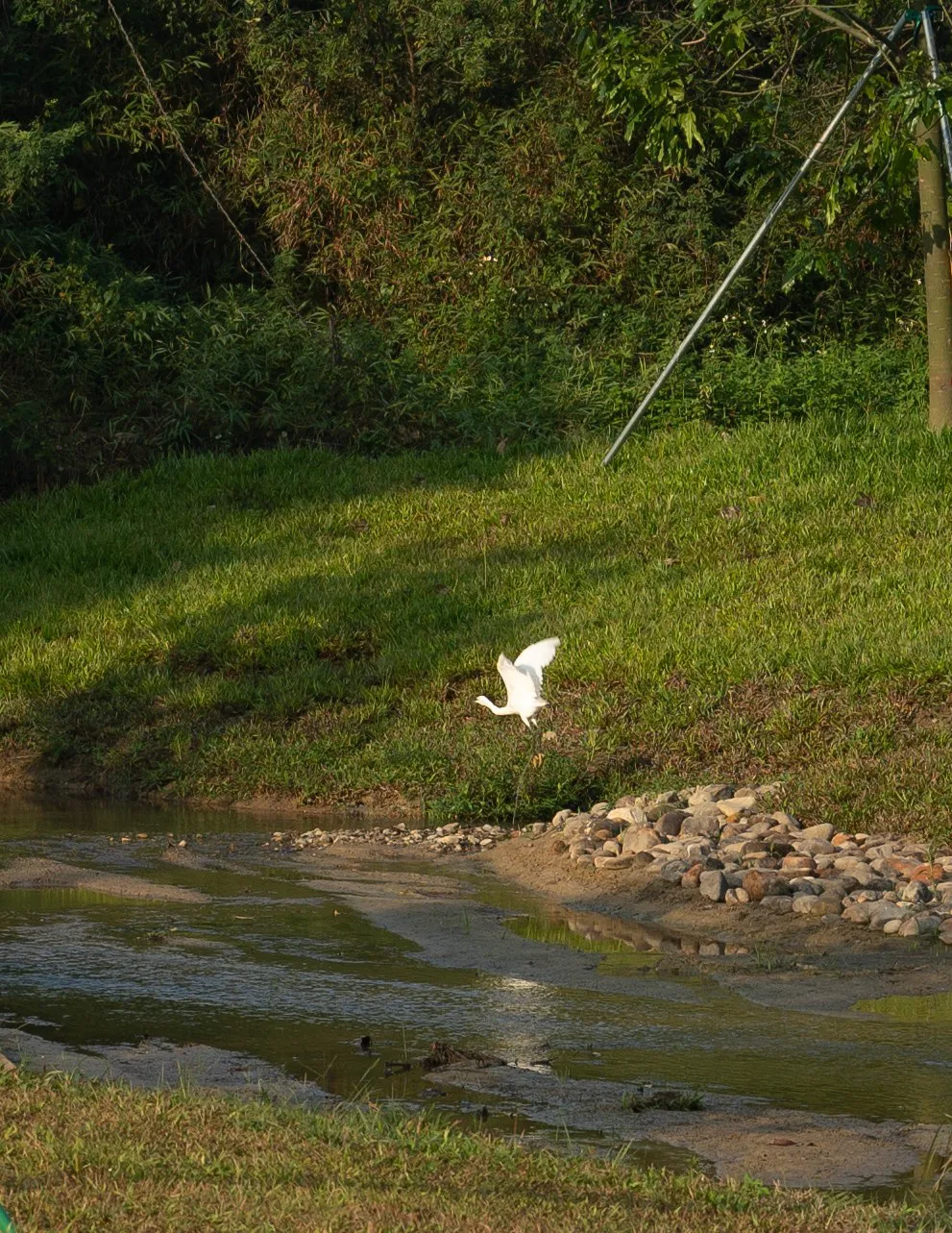 1738909463354061.jpg 1738909455507.jpg