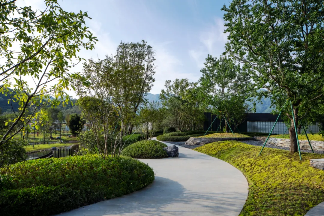 1738909655915809.jpg 1738909563879.jpg