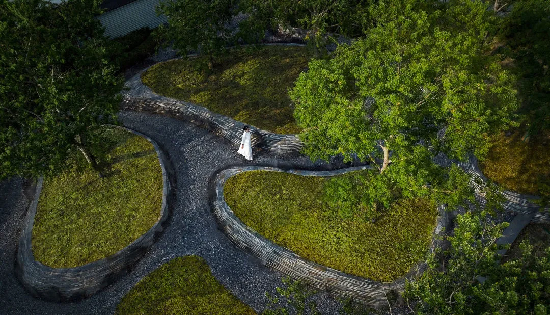 1738909661103573.jpg 1738909565966.jpg