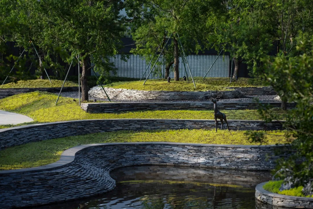 1738909673148245.jpg 1738909632276.jpg