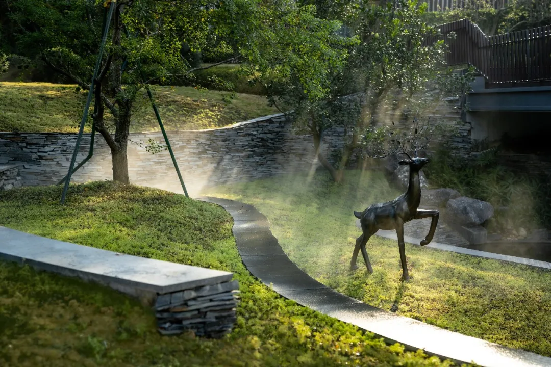 1738909681180902.jpg 1738909634278.jpg