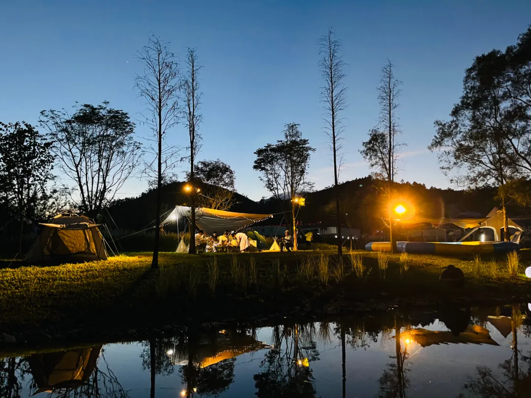 1738910308153141.jpg 1738910287320.jpg