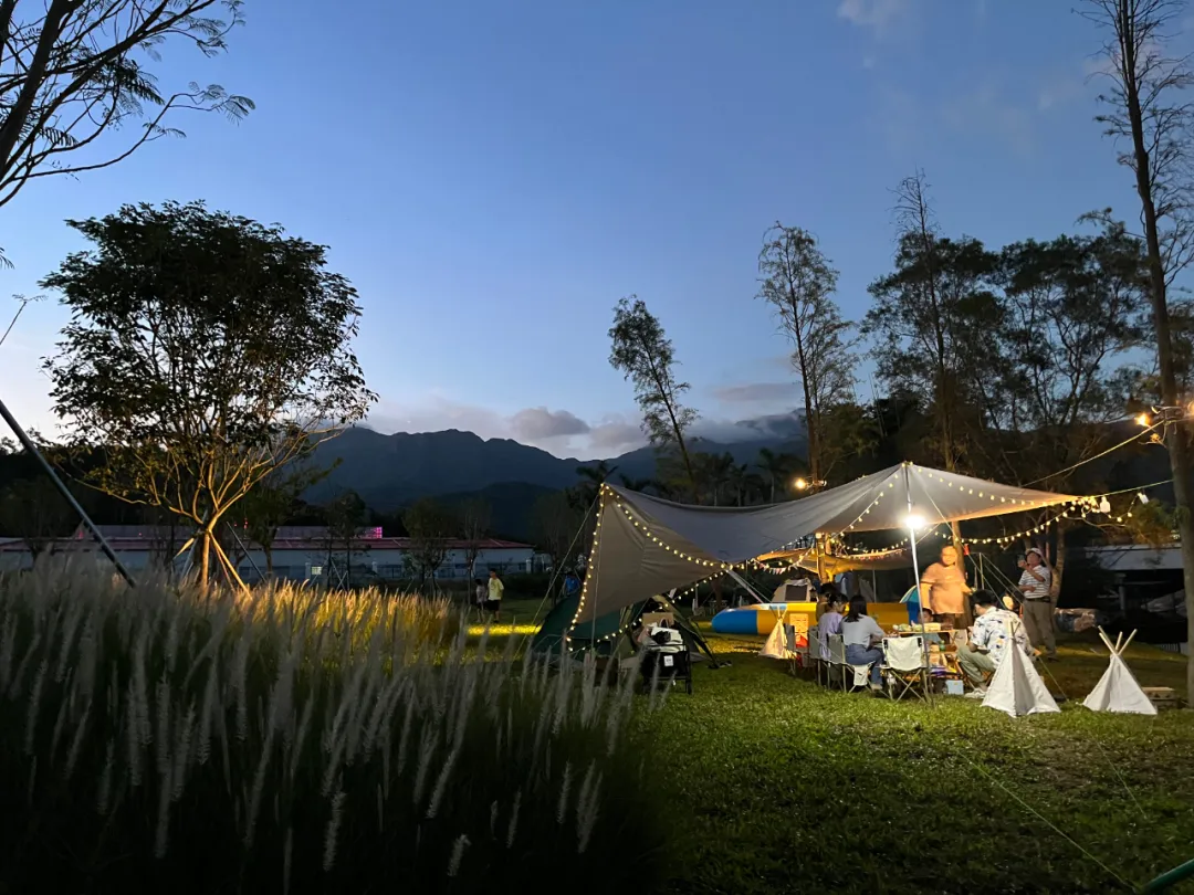 1738910314181447.jpg 1738910289498.jpg