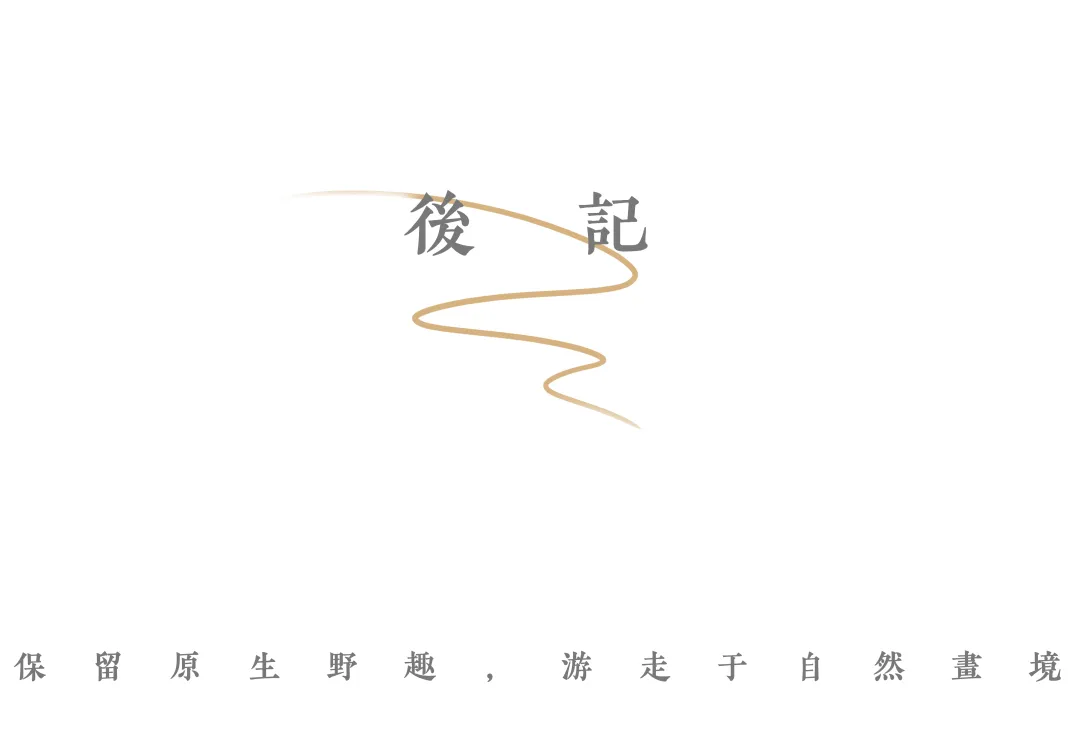 1738910339180483.jpg 1738910295788.jpg