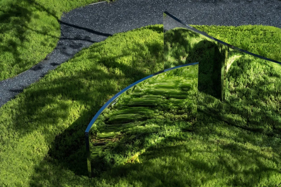 1738912771370329.jpg 1738912758978.jpg