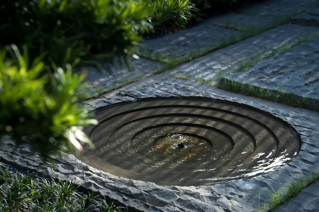 1738912775636266.jpg 1738912761371.jpg