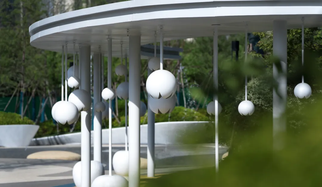 1738912841492499.jpg 1738912828102.jpg