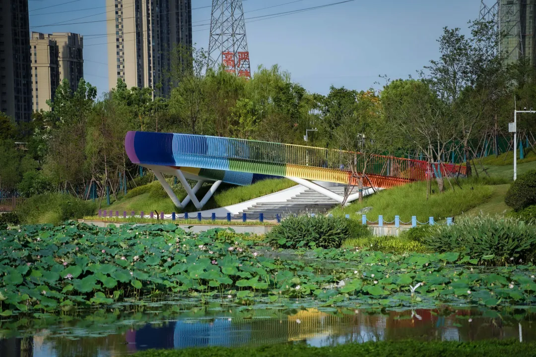 1738912932464314.jpg 1738912928244.jpg