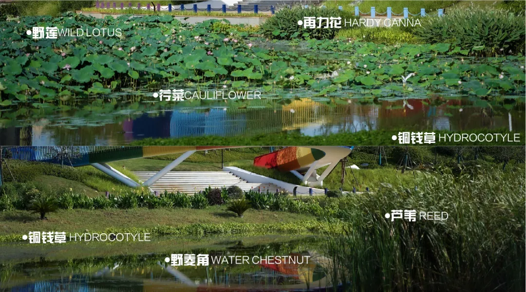 1738912947181190.jpg 1738912941791.jpg