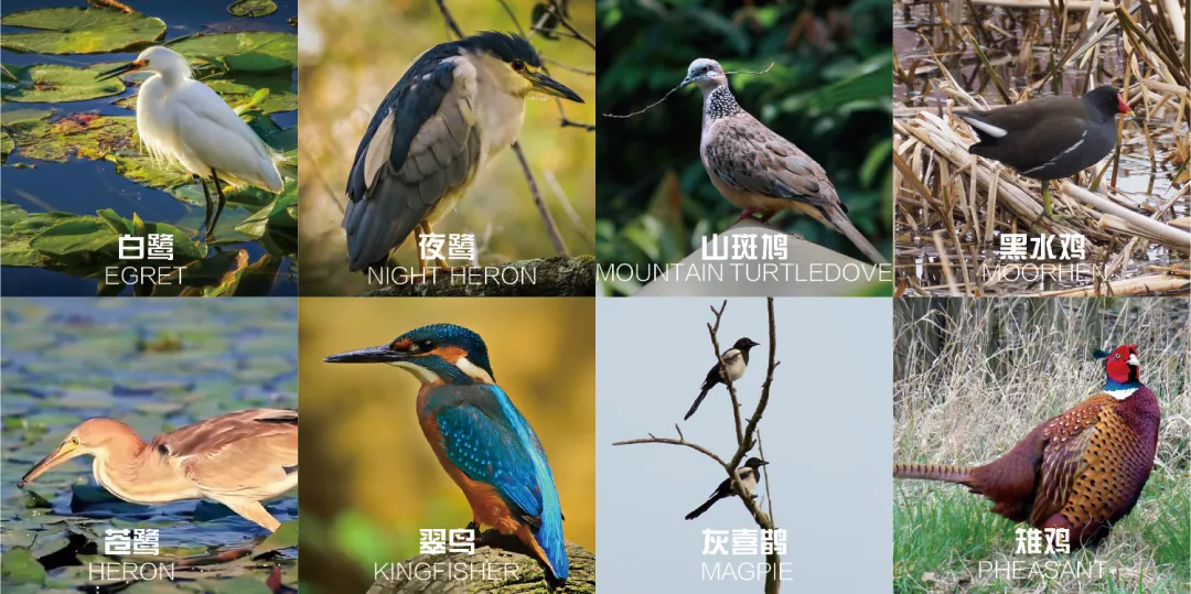 1738912952212933.jpg 1738912943931.jpg