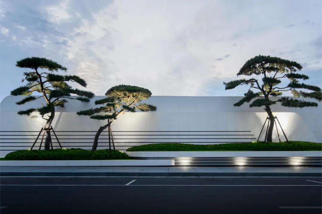 1738915582435613.jpg 1738915548951.jpg