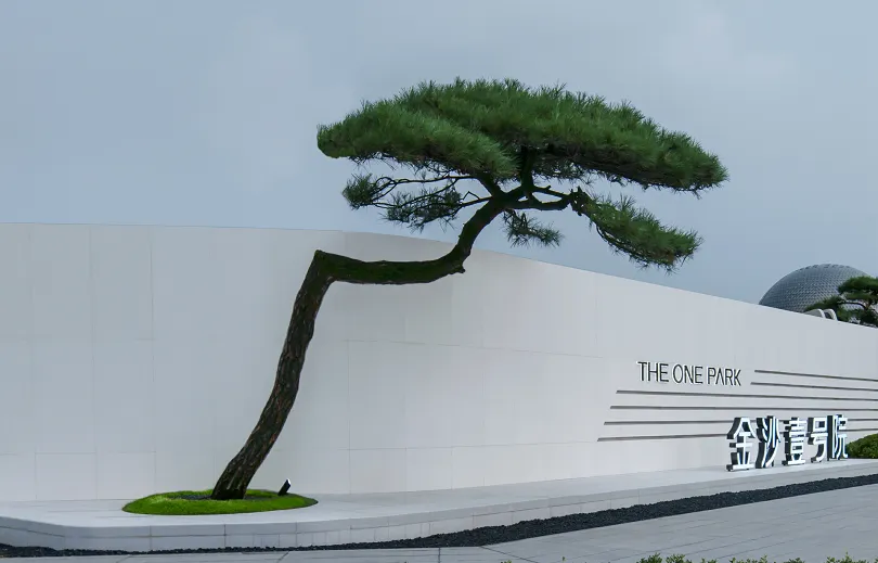 1738915587116104.jpg 1738915551199.jpg