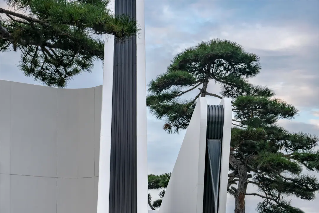 1738915644123623.jpg 1738915627532.jpg