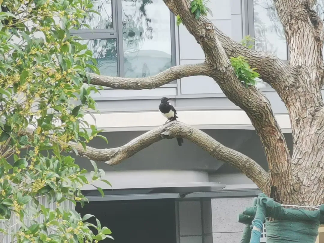 1738980597932332.jpg 1738980577060.jpg