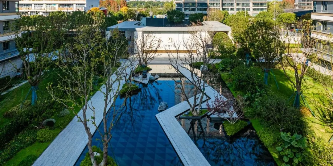 1738980973850661.jpg 1738980949989.jpg