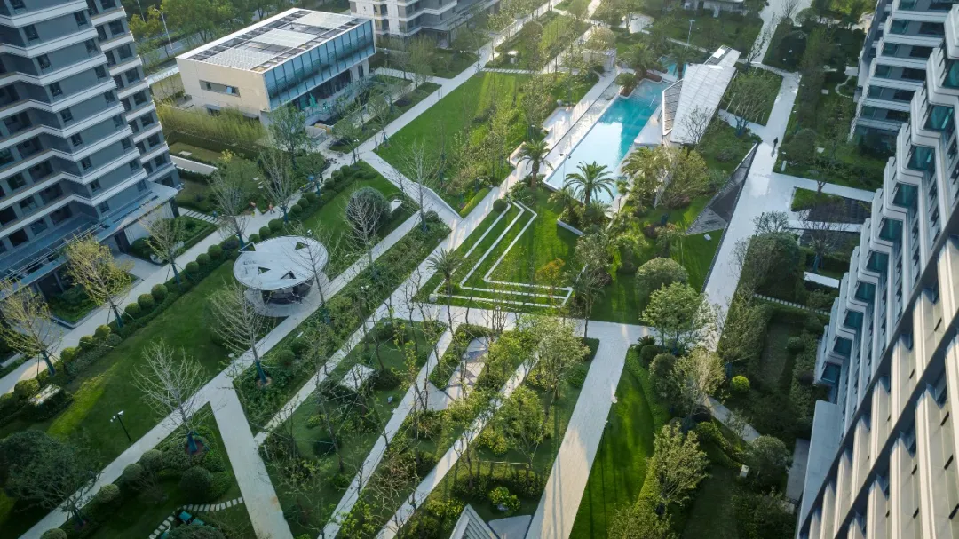 1738981241126248.jpg 1738981222497.jpg